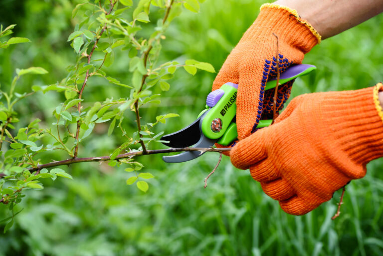 lutte contre les mauvaises herbes